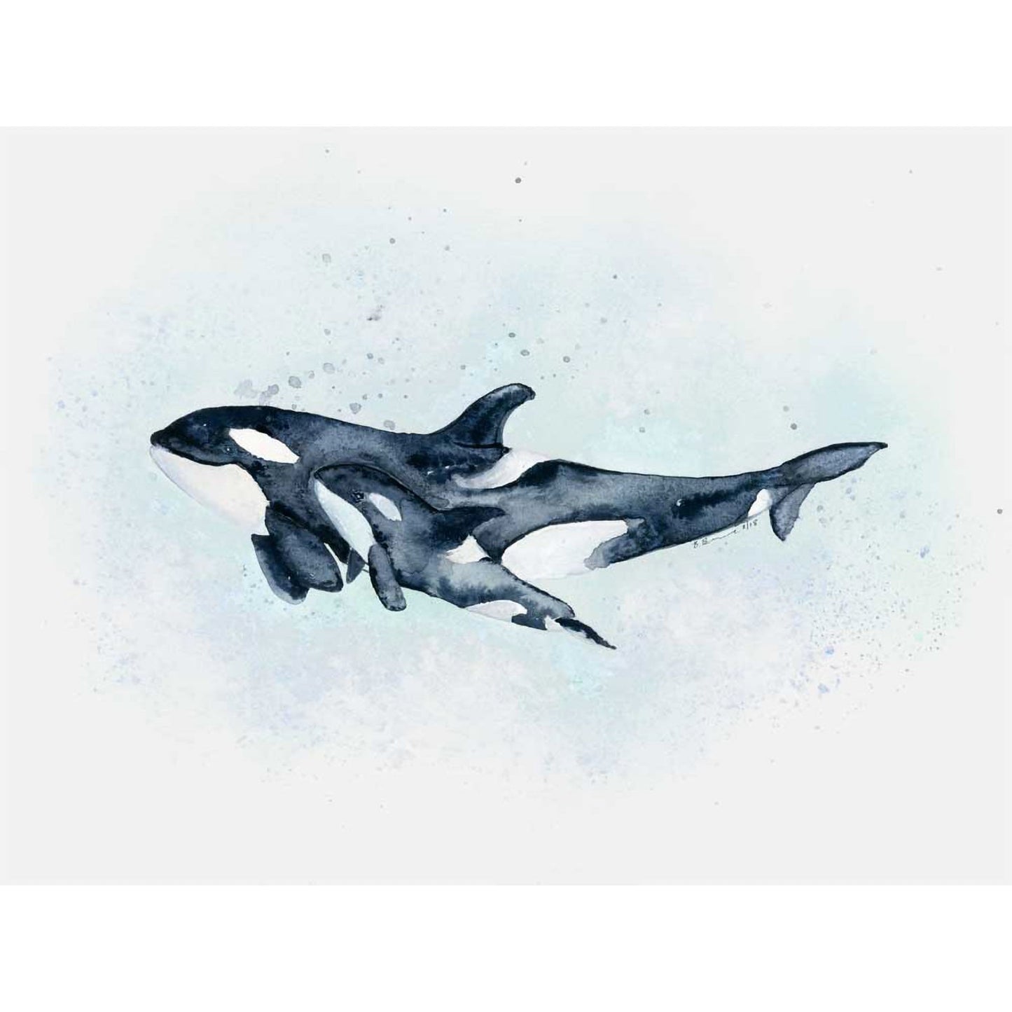 Mom And Baby Orcas Canvas Wall Art