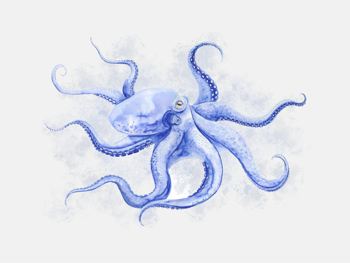 Octopus Portrait Canvas Wall Art