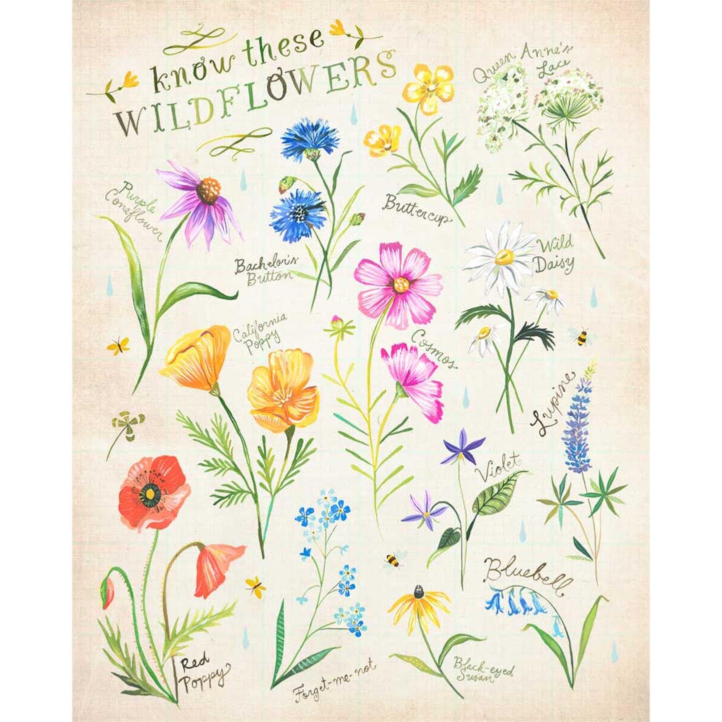Wildflower Chart Canvas Wall Art