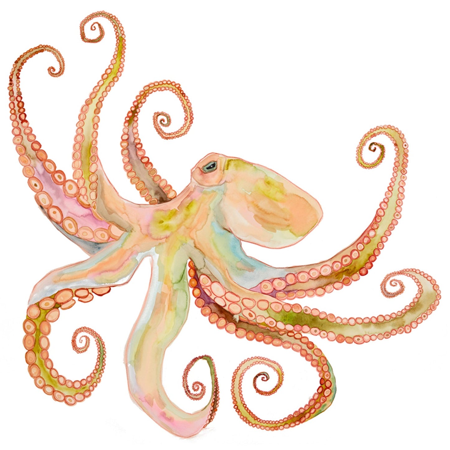 Solo Octopus Canvas Wall Art