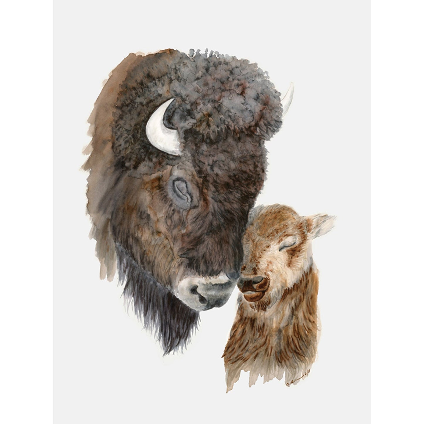 Mom and Baby Bison Canvas Wall Art