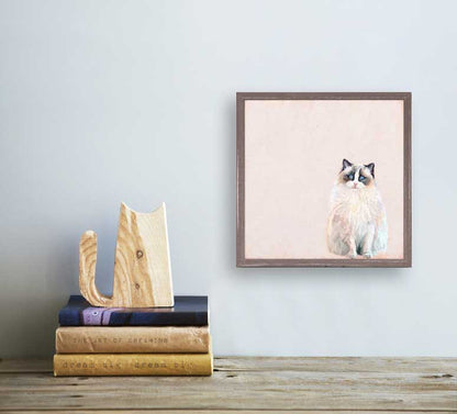 Feline Friends - Ragdoll Cat Mini Framed Canvas