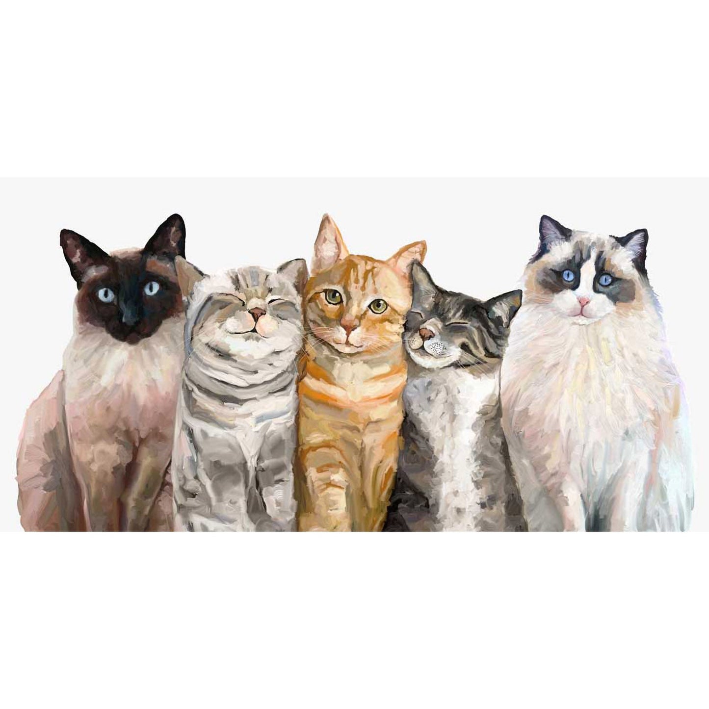Feline Friends - Cat Bunch Canvas Wall Art
