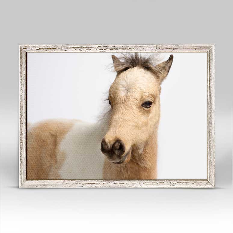 Petite Ponies - Autumn Mini Framed Canvas