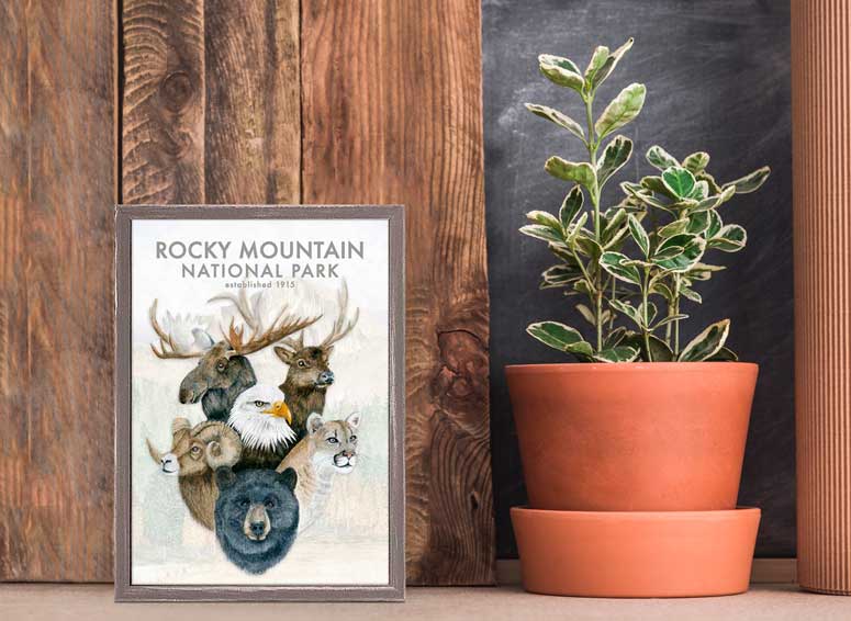 Animal Montage - Rocky Mountain Mini Framed Canvas - GreenBox Art