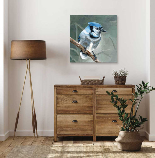 Avian Spotlight - Blue Jay Canvas Wall Art - GreenBox Art