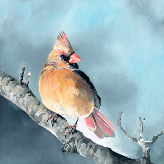 Avian Spotlight - Golden Hour Cardinal Canvas Wall Art - GreenBox Art