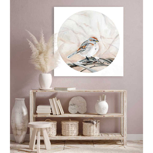 Avian Spotlight - House Sparrow Canvas Wall Art - GreenBox Art