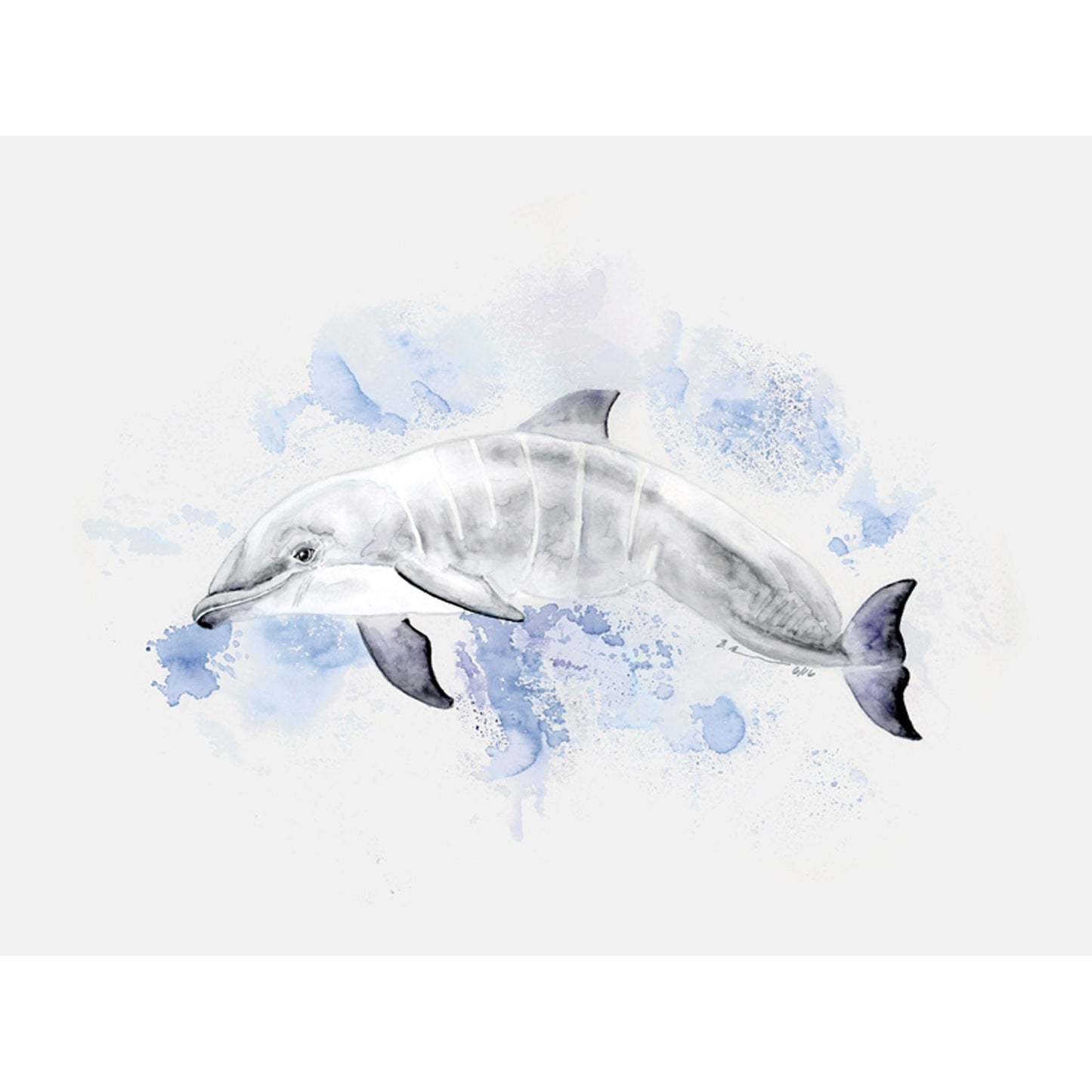 Baby Dolphin Portrait Canvas Wall Art - GreenBox Art