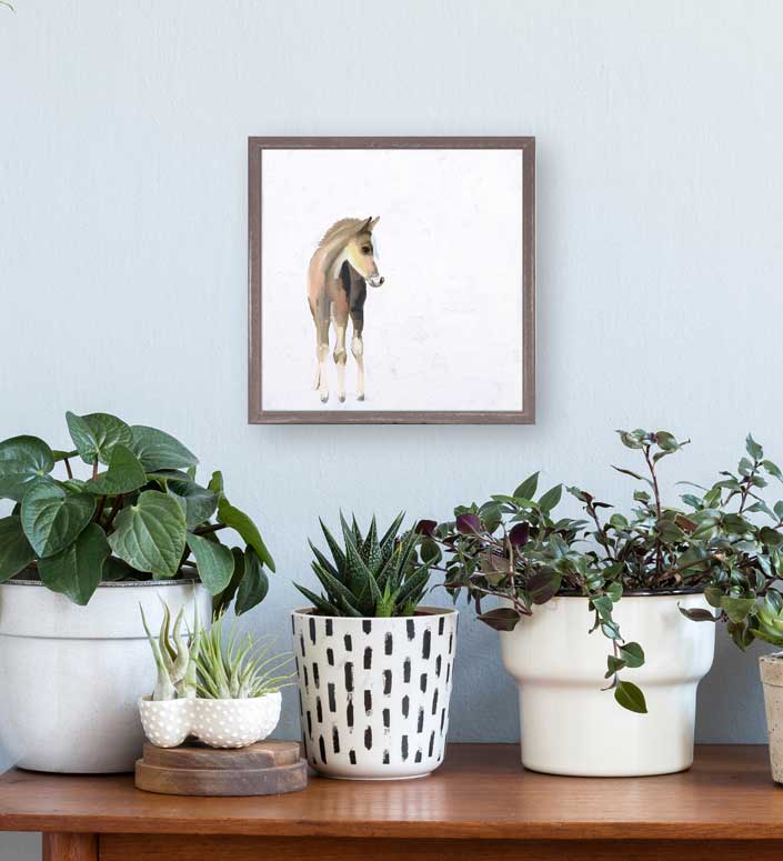 Baby Horse Mini Framed Canvas - GreenBox Art