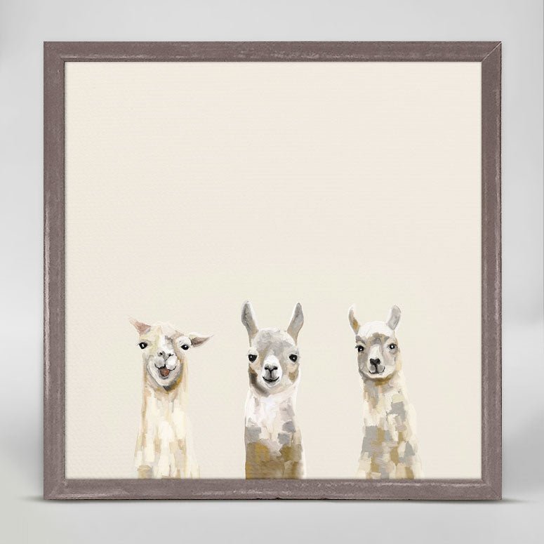 Baby Llama Trio Mini Framed Canvas - GreenBox Art