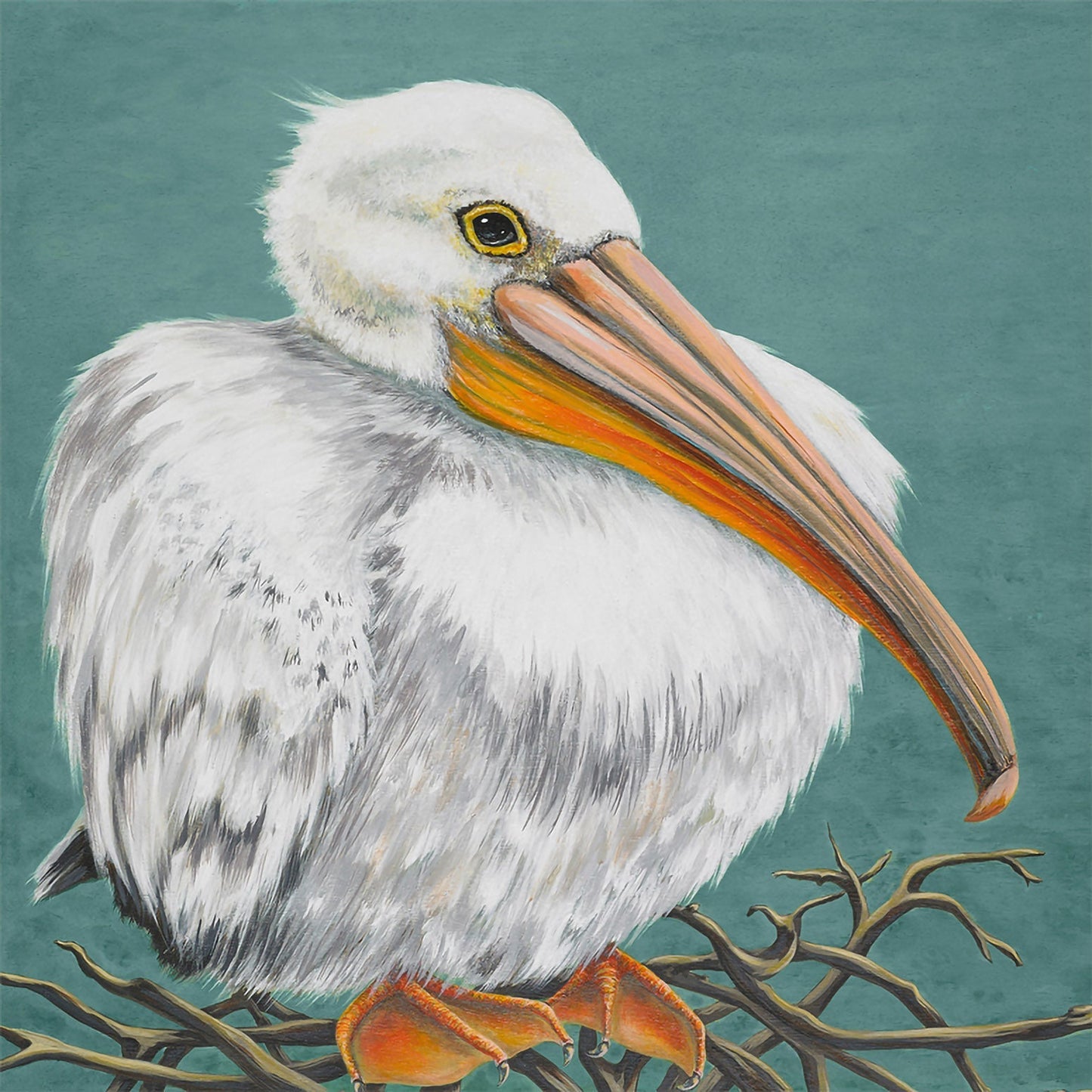 Baby Pelly Canvas Wall Art - GreenBox Art