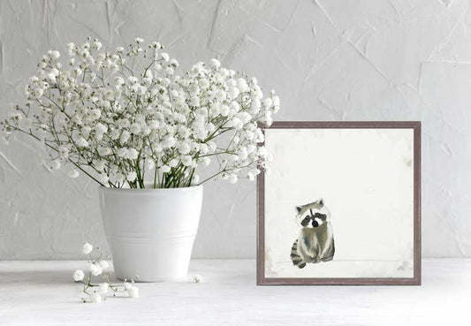 Baby Raccoon Kit Mini Framed Canvas - GreenBox Art