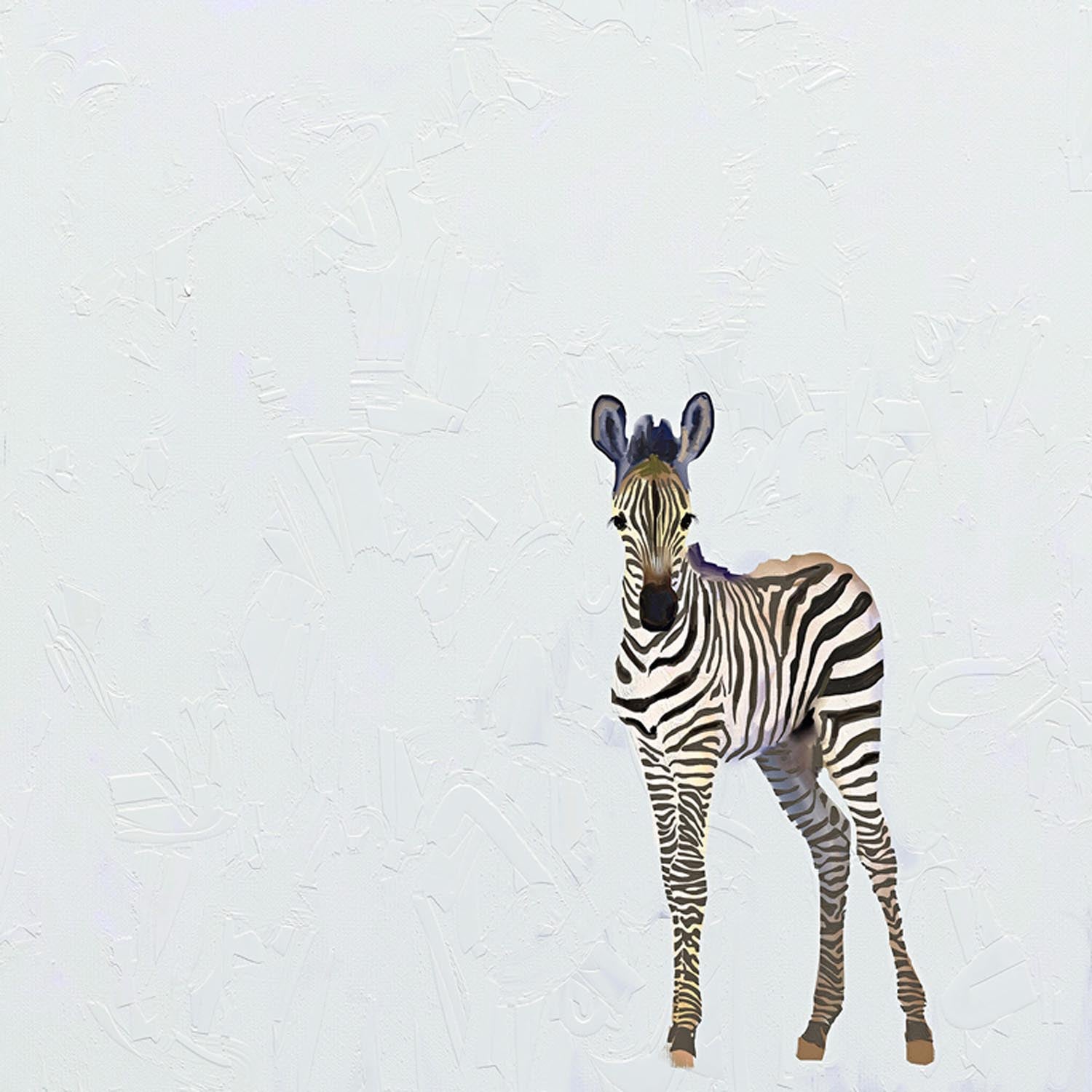 Baby Zebra Canvas Wall Art - GreenBox Art