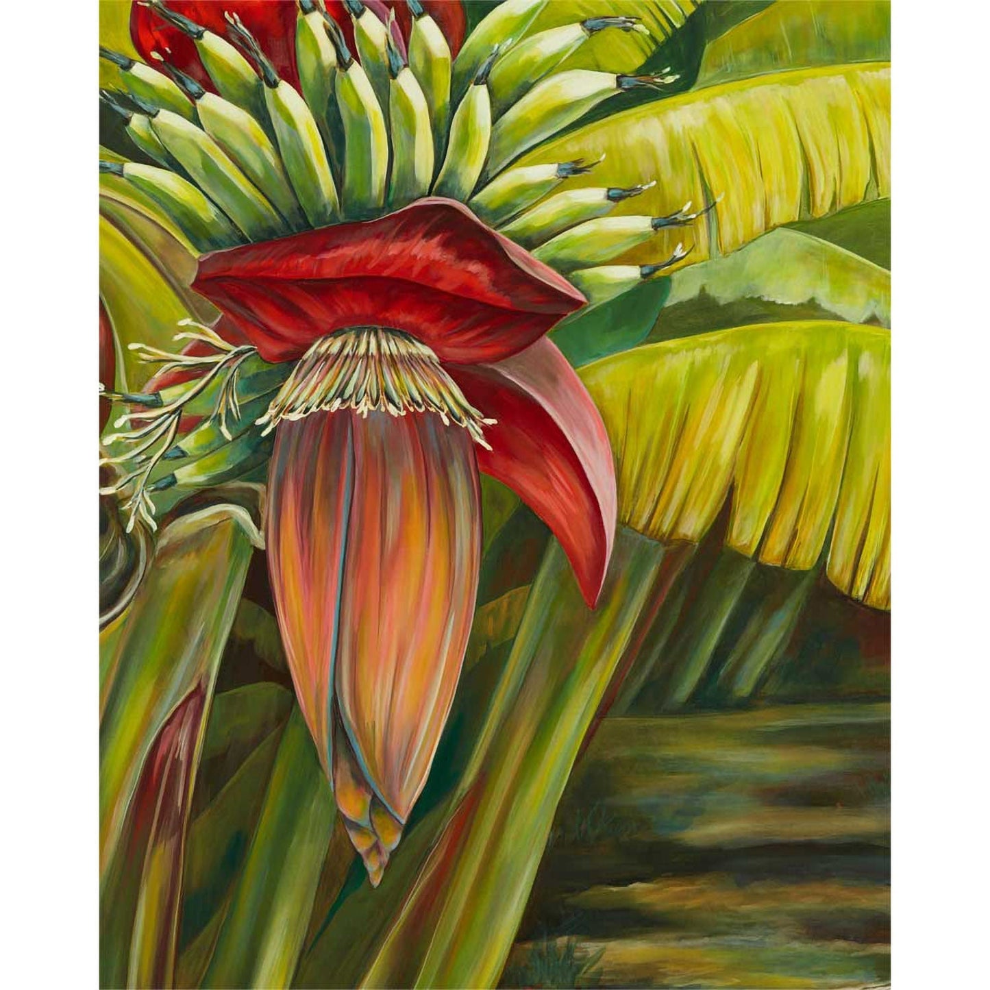 Banana Flower Canvas Wall Art - GreenBox Art