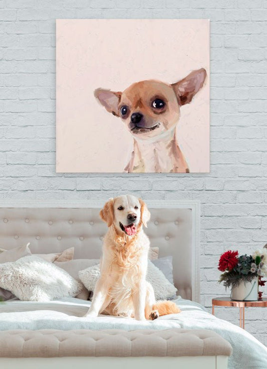 Best Friend - Chihuahua Close Up Canvas Wall Art - GreenBox Art