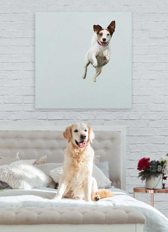 Best Friend - Jump For Joy Jack Russell Canvas Wall Art - GreenBox Art