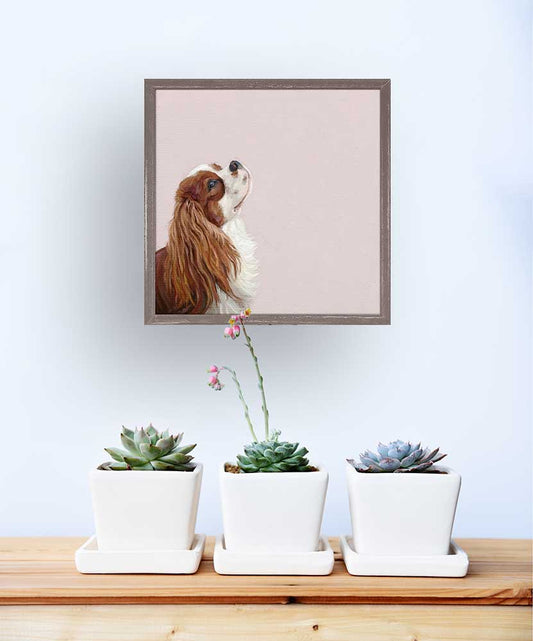 Best Friend - Looking Up Cavalier Mini Framed Canvas - GreenBox Art