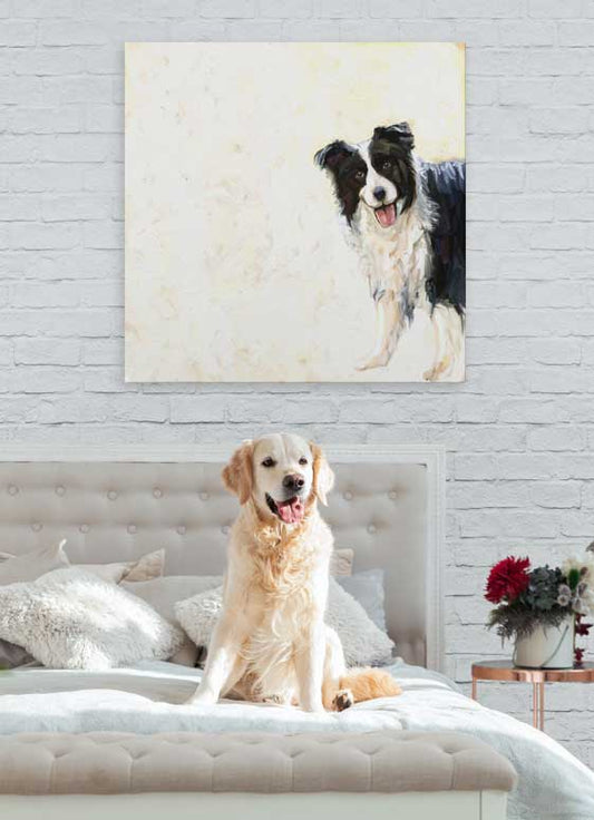 Best Friend - Peeking Border Collie Canvas Wall Art - GreenBox Art