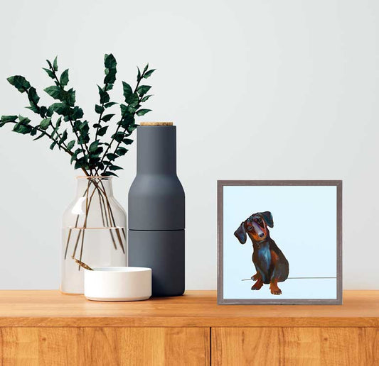 Best Friend - Tippy The Dachshund Mini Framed Canvas - GreenBox Art