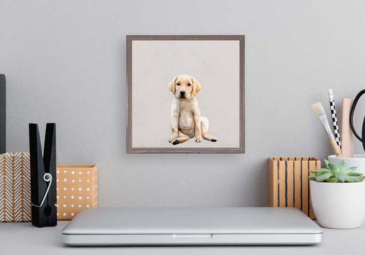 Best Friend - Yellow Lab Pup Mini Framed Canvas - GreenBox Art