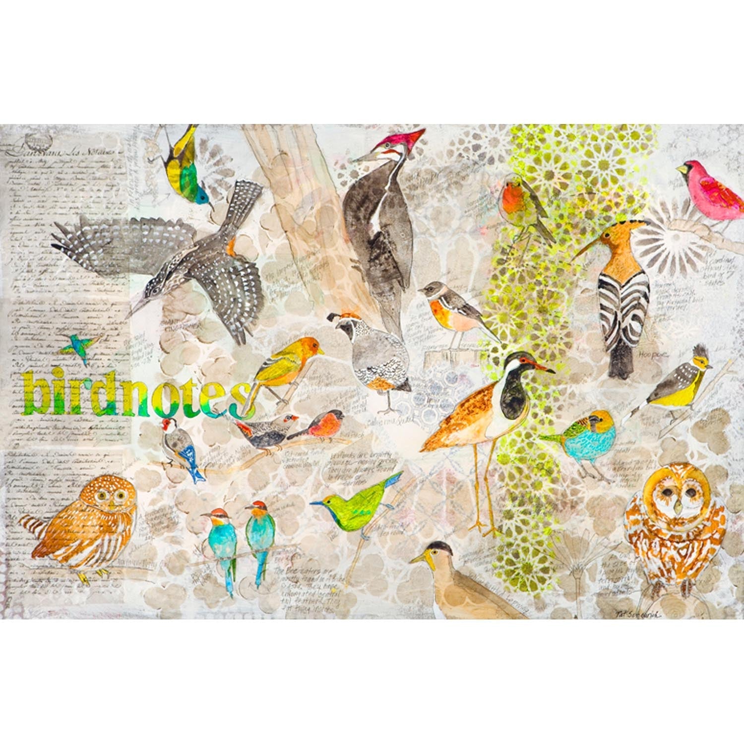 Bird Sketches Canvas Wall Art - GreenBox Art