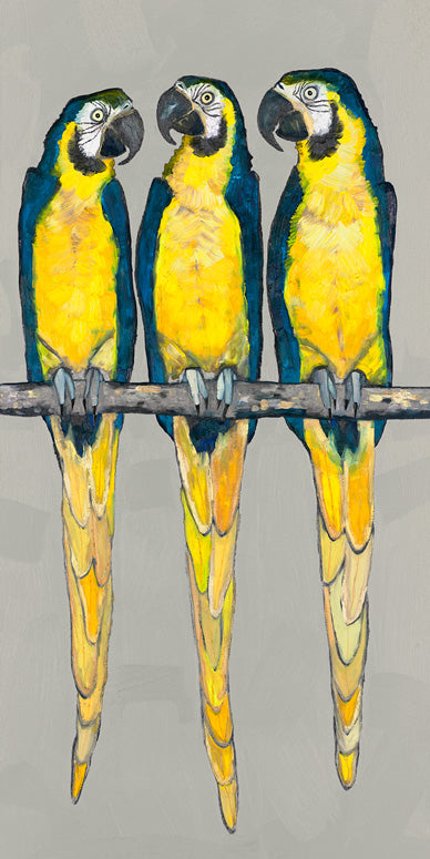 Three Macaws Canvas Wall Art