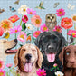 Dogs And Birds Puzzle