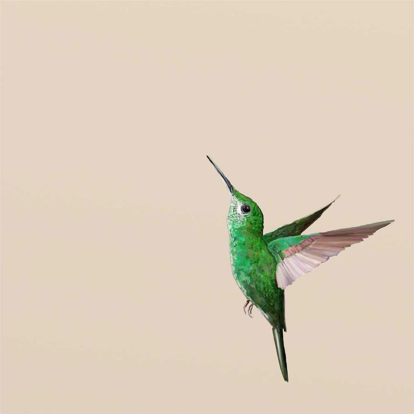 Jade Hummingbird Canvas Wall Art