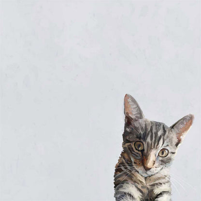Feline Friends - Evie The Cat Canvas Wall Art