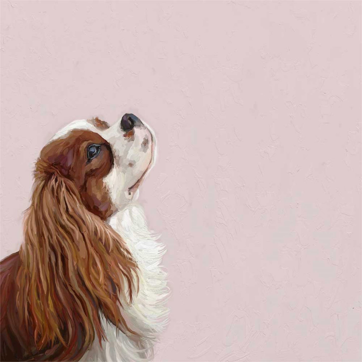 Best Friend - Looking Up Cavalier Canvas Wall Art