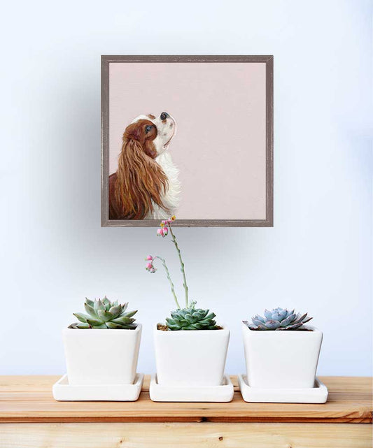 Best Friend - Looking Up Cavalier Mini Framed Canvas