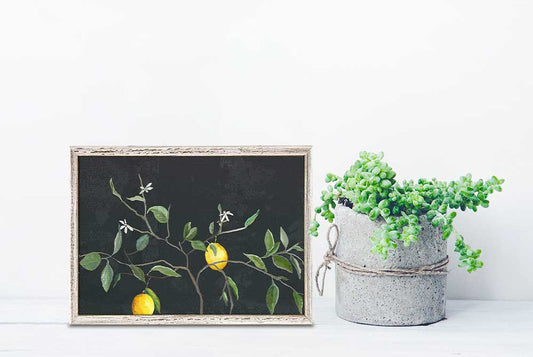 Lemon Branch Mini Framed Canvas - GreenBox Art