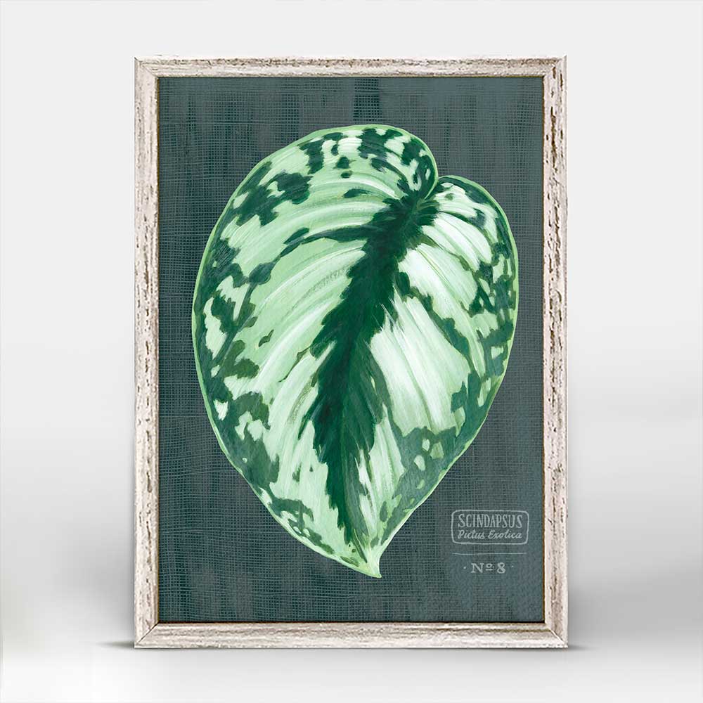 Leaf Series - Scindapsus Pictus Exotica Mini Framed Canvas - GreenBox Art