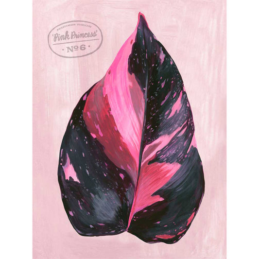 Leaf Series - Philodendron Pink Princess Canvas Wall Art - GreenBox Art