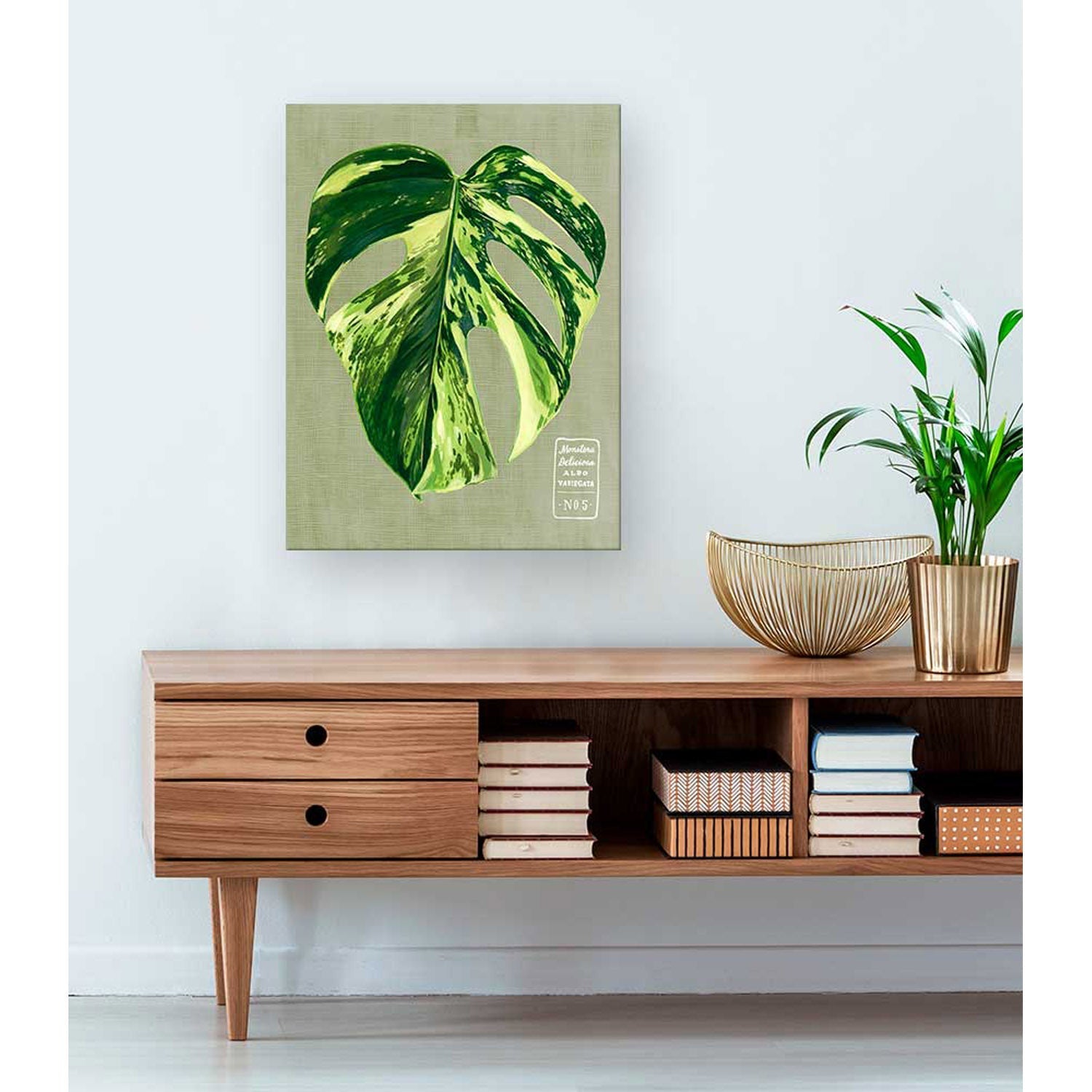 Leaf Series - Monstera Deliciosa Albo Variegata Canvas Wall Art - GreenBox Art