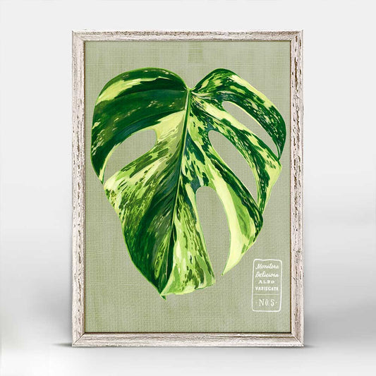 Leaf Series - Monstera Deliciosa Albo Variegata Mini Framed Canvas - GreenBox Art