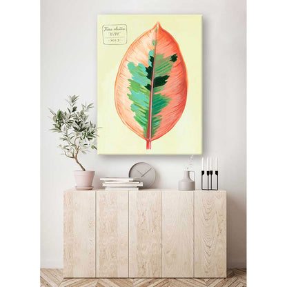 Leaf Series - Ficus Elastica Ruby Canvas Wall Art - GreenBox Art