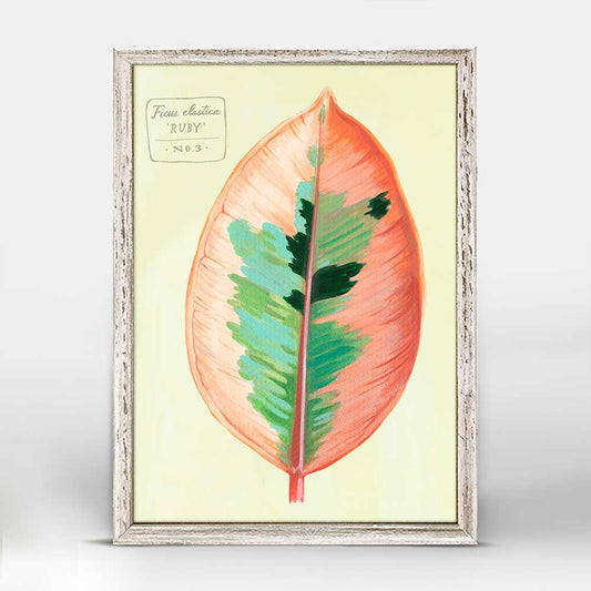 Leaf Series - Ficus Elastica Ruby Mini Framed Canvas - GreenBox Art