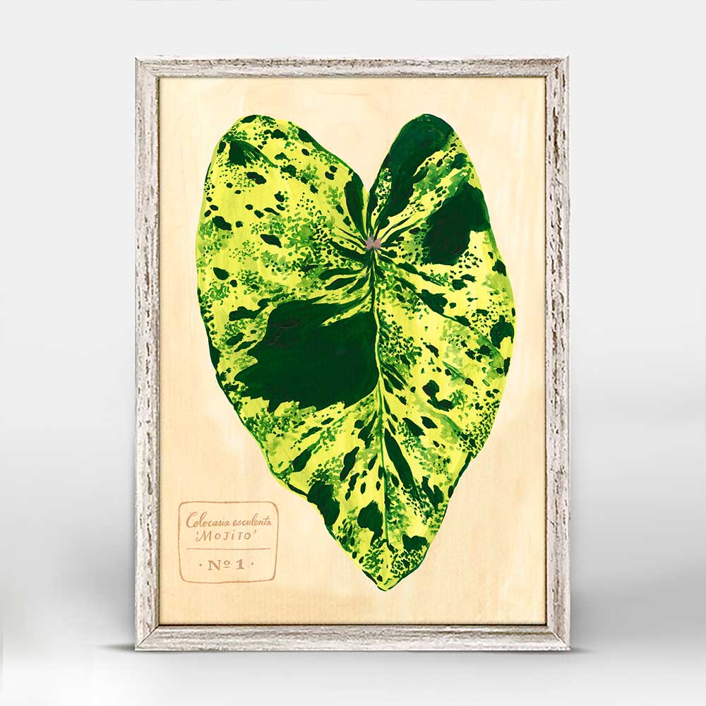 Leaf Series - Colocasia Esculenta Mojito Mini Framed Canvas