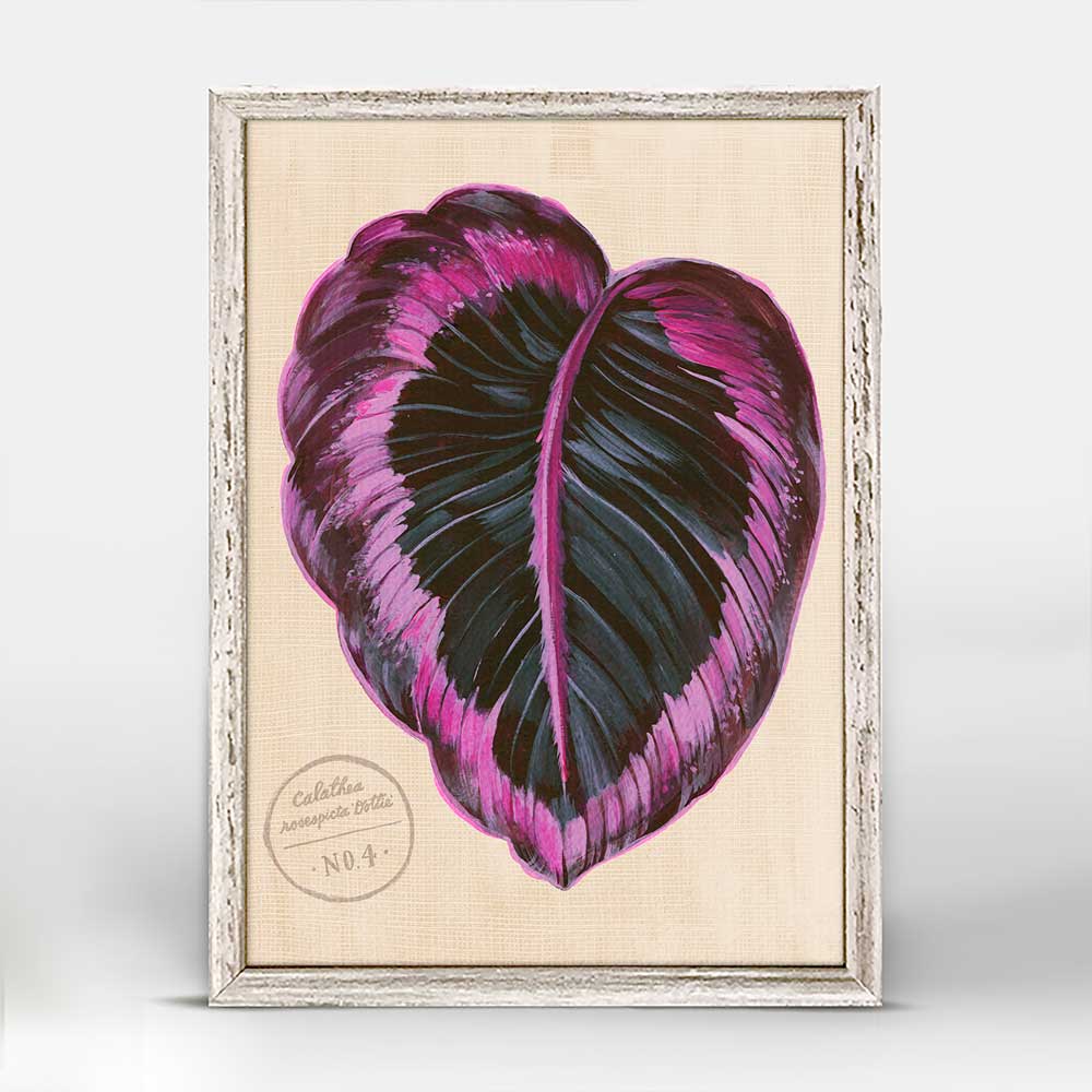 Leaf Series - Calathea Roseopicta Dottie Mini Framed Canvas - GreenBox Art