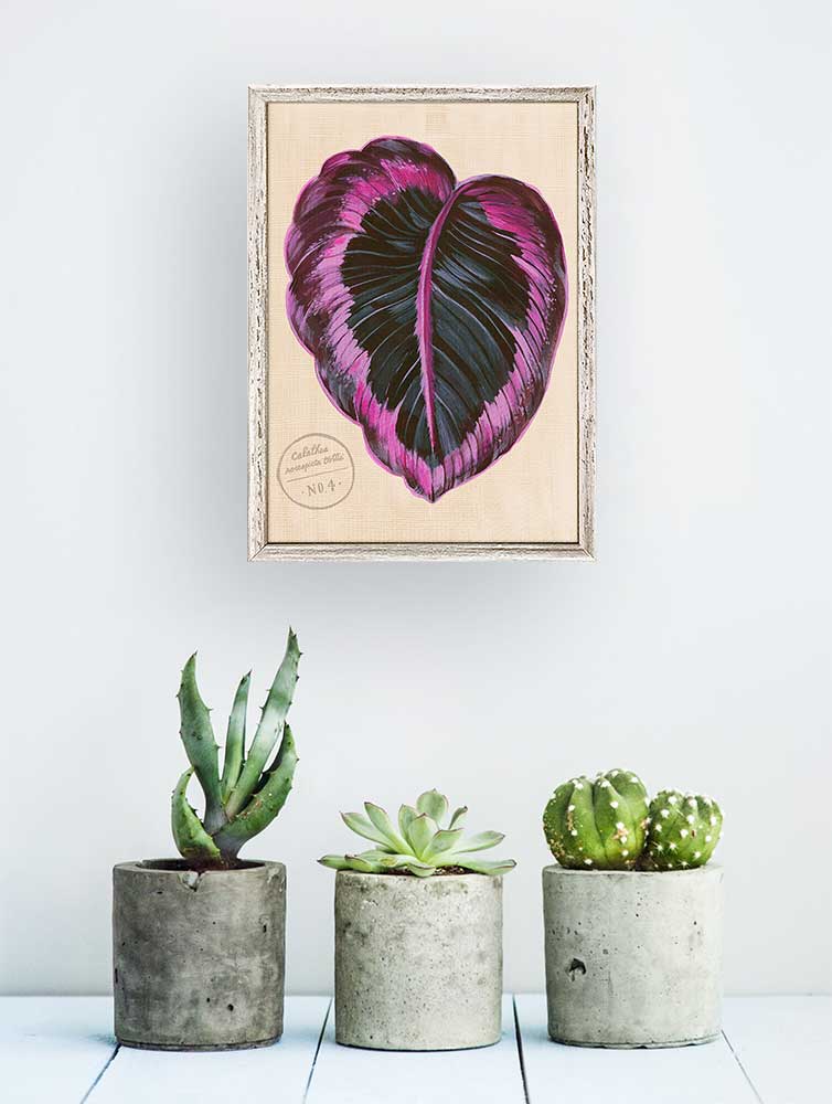 Leaf Series - Calathea Roseopicta Dottie Mini Framed Canvas - GreenBox Art