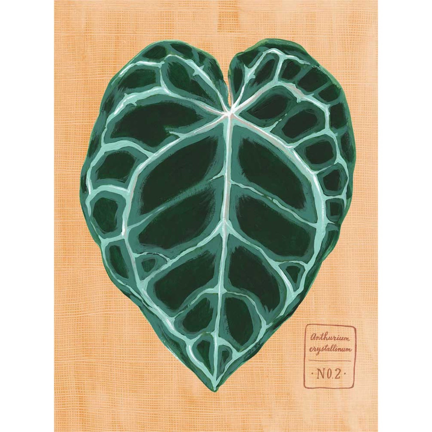 Leaf Series - Anthurium Crystallinum Canvas Wall Art - GreenBox Art