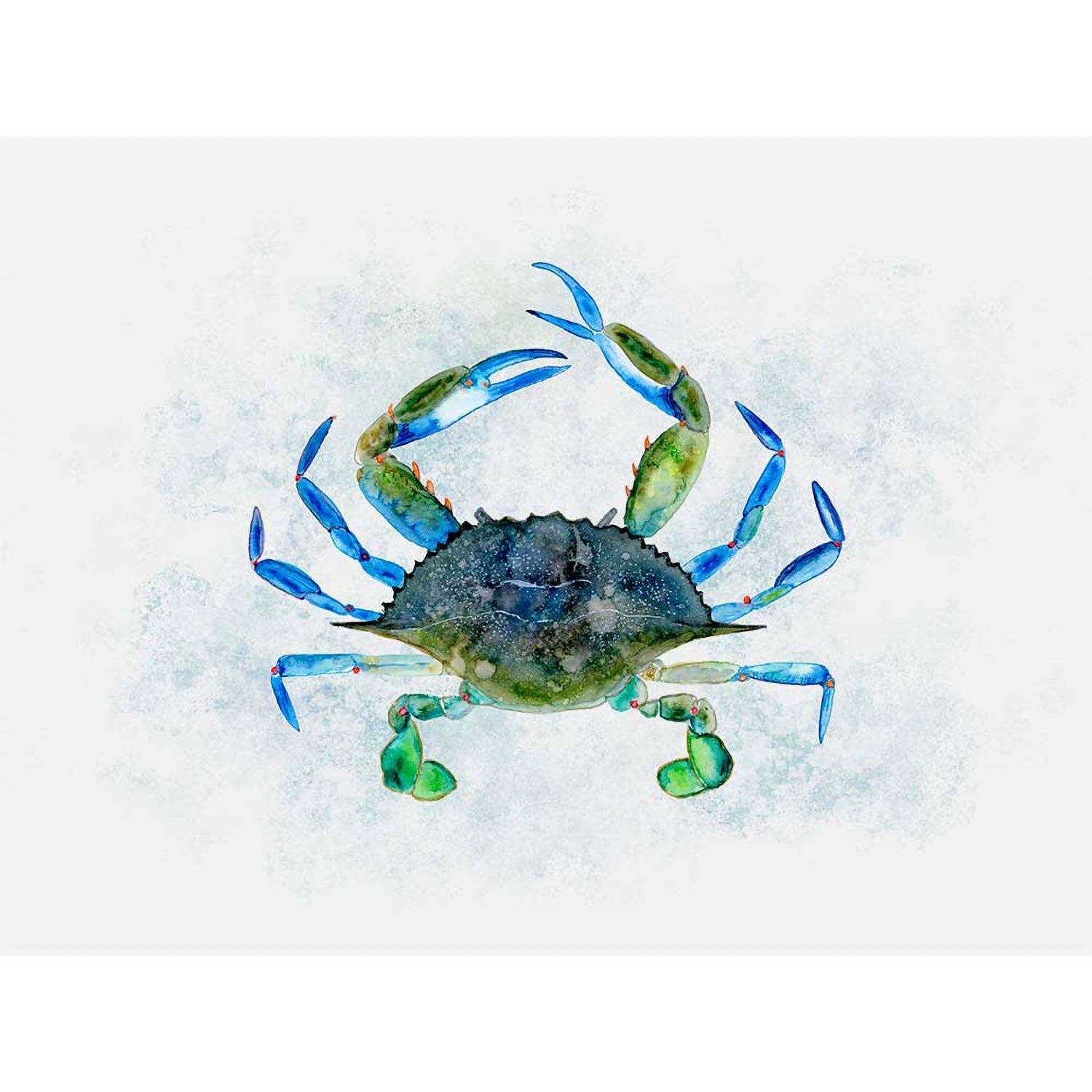 Crab Portrait Canvas Wall Art - GreenBox Art