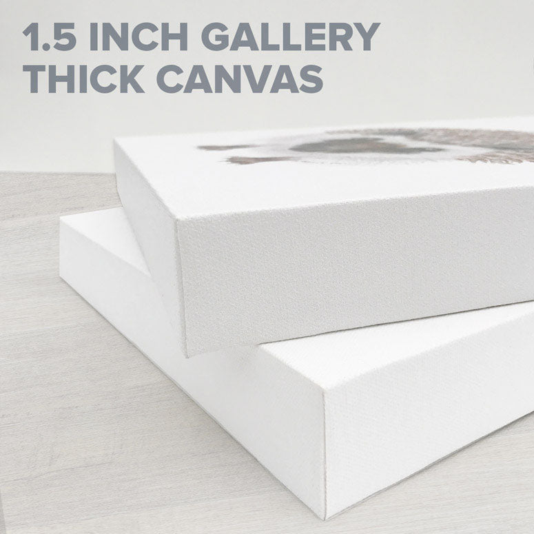 Deck Series 5 Canvas Wall Art - GreenBox Art