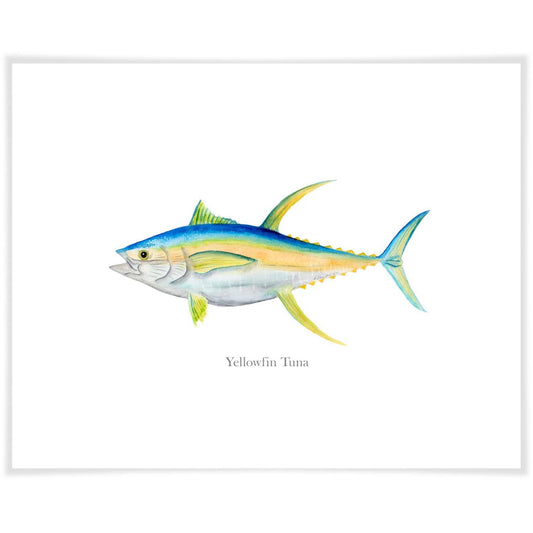Yellowfin Tuna Portrait Art Prints