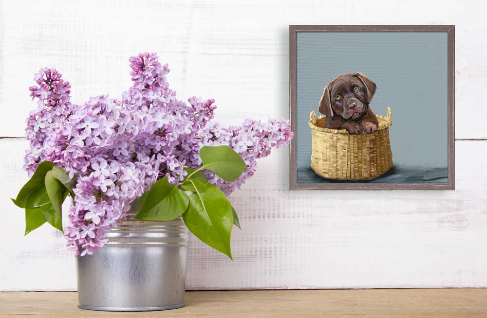 Chocolate Pup In A Basket Mini Framed Canvas