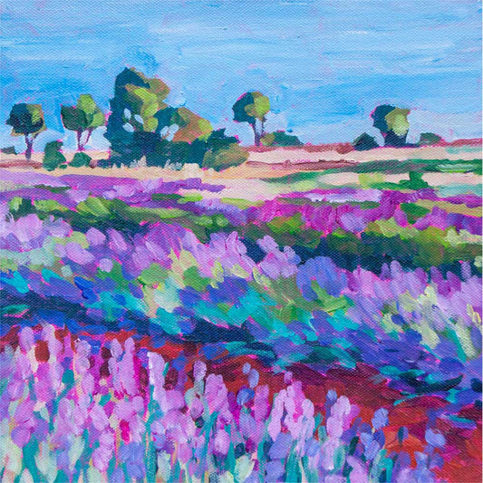 Lavender Fields Canvas Wall Art