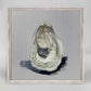 Coastal Jewels - Oyster I Mini Framed Canvas