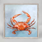 Coastal Locals - Red Crab Mini Framed Canvas